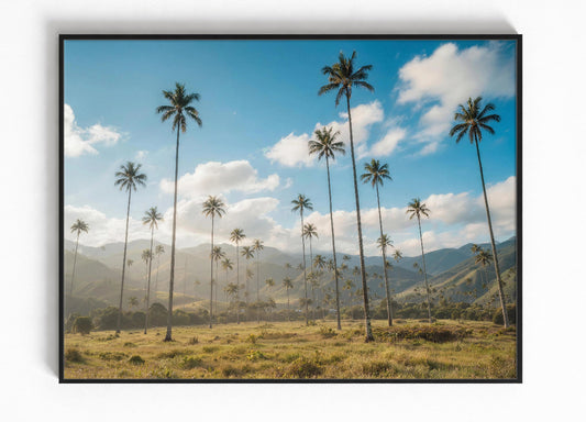 Cocora Vallei Colombia Ingelijste Poster Kopen