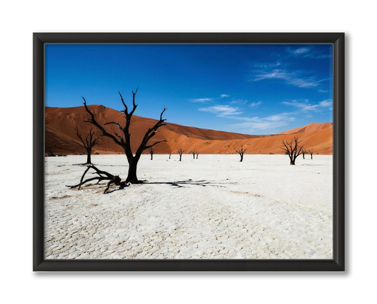 Dodevlei Wanddecoratie Natuur Reisfotografie - Verjaardag Cadeau