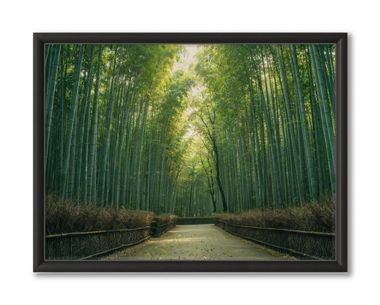 Kyoto Bamboe Forest Muurdecoratie Bestellen