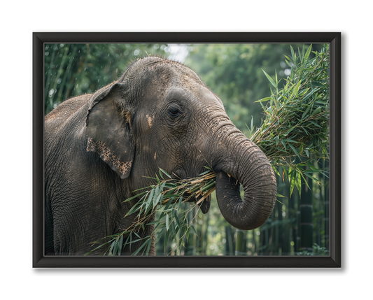 Olifant Wildlife Thailand Wanddecoratie Bestellen