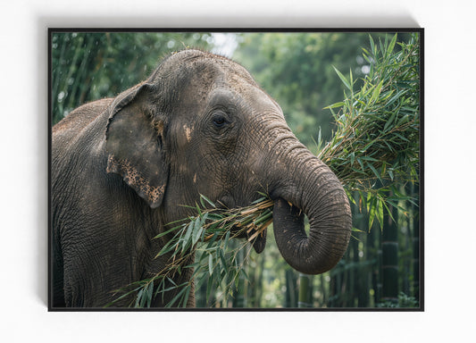 Olifant Wildlife Ingelijste Poster Wanddecoratie Cadeau