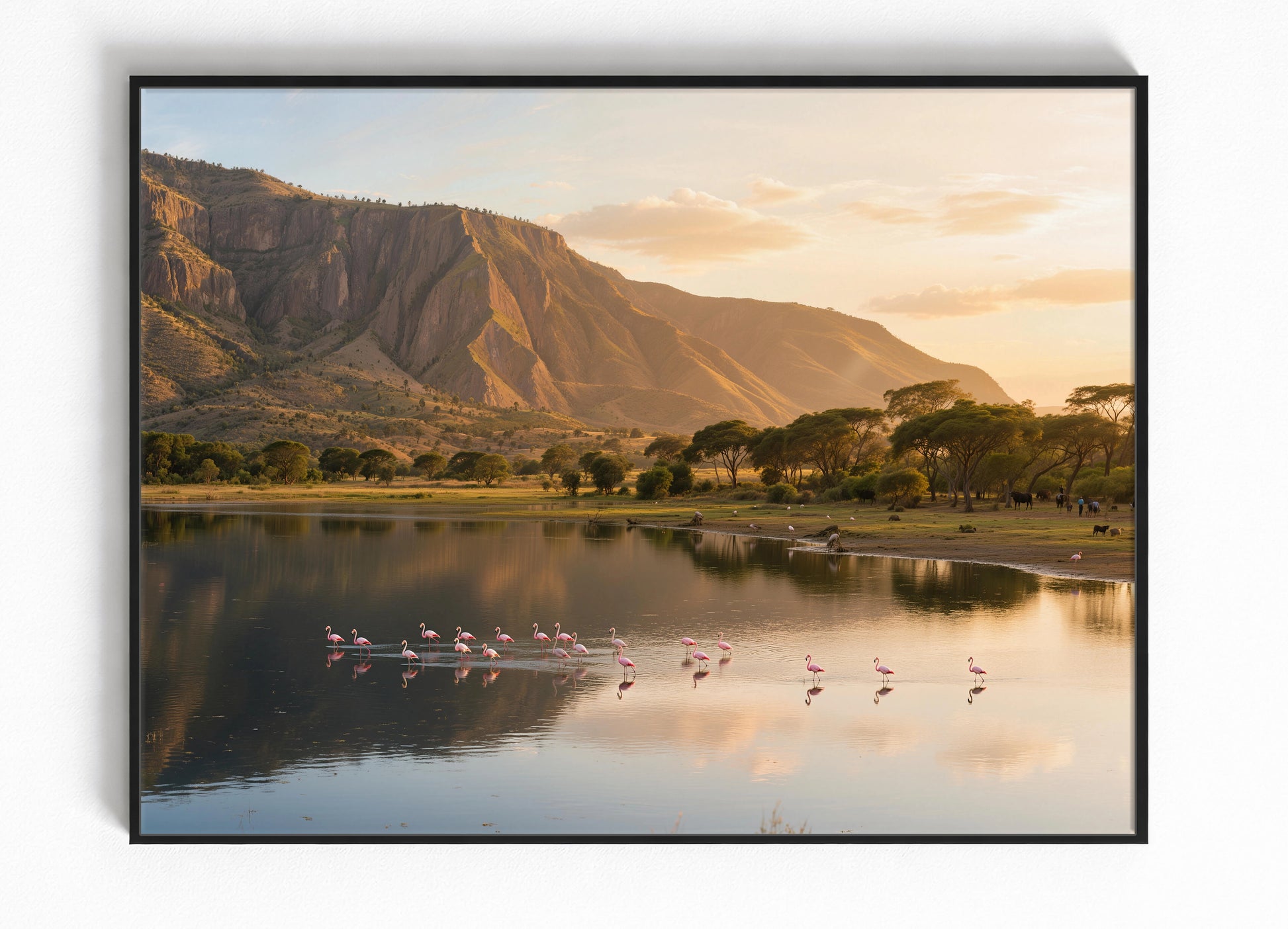 Flamingo Wildlife Wanddecoratie Ingelijste Poster Reisfotografie