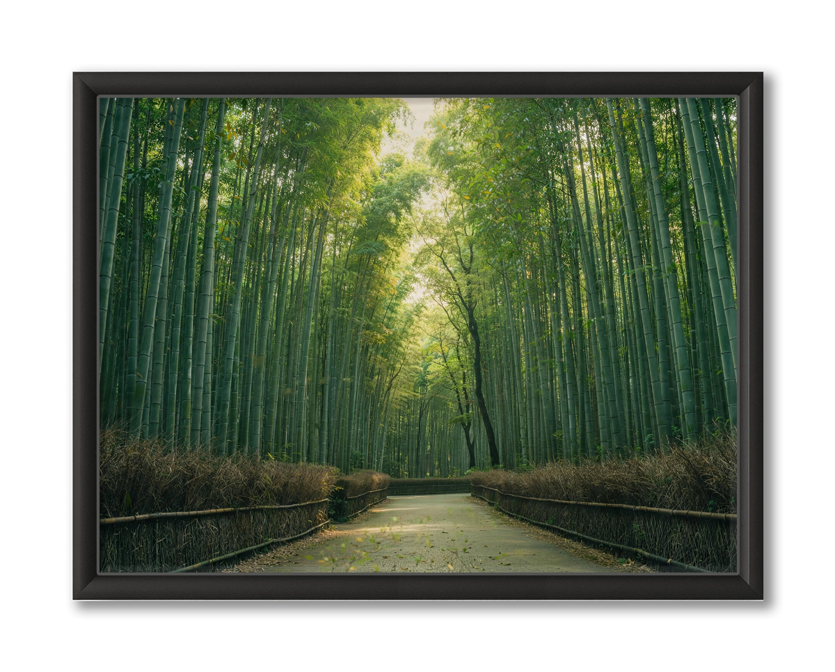 Kyoto Bamboe Forest Muurdecoratie Bestellen