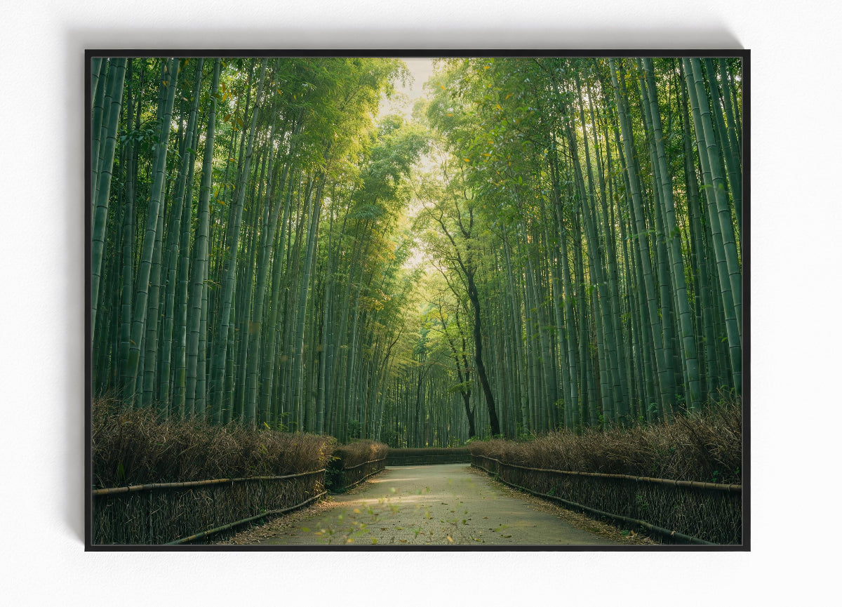 Kyoto Bamboe Forest Ingelijste Poster Bestellen
