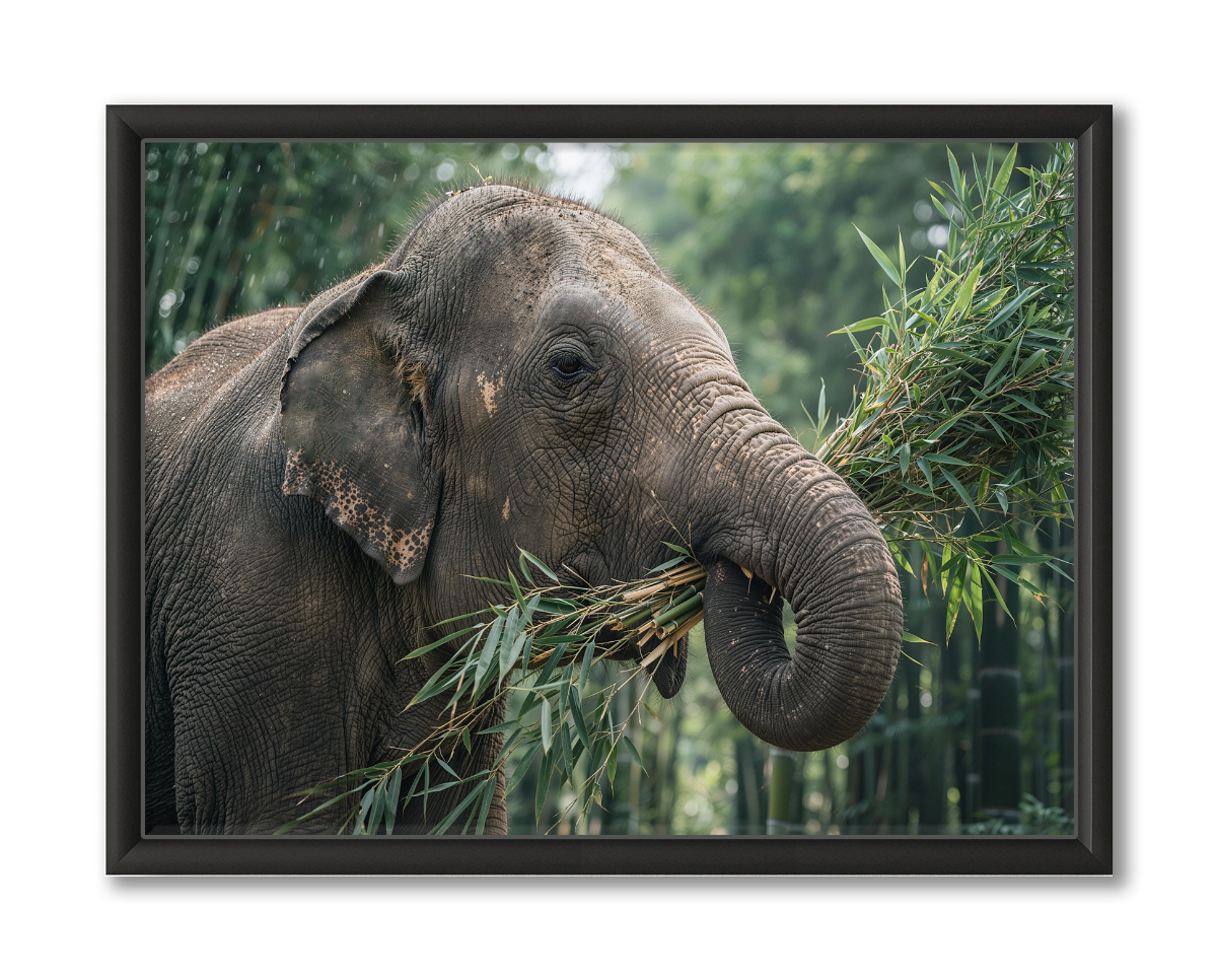 Olifant Wildlife Thailand Wanddecoratie Bestellen